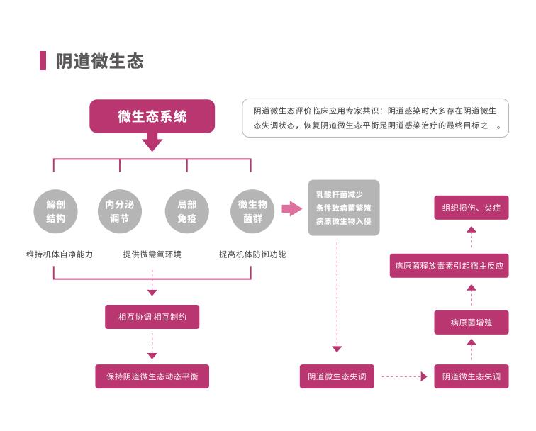 全自动阴道炎麻豆影视在线直播视频LTS-V400阴道微生态系统