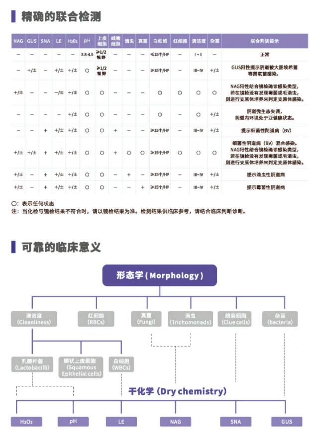 阴道分泌物麻豆高清黄色视频V800精确的联合检测